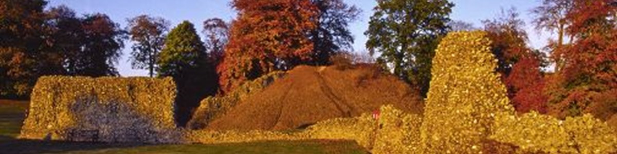 Berkhamsted castle1.jpg