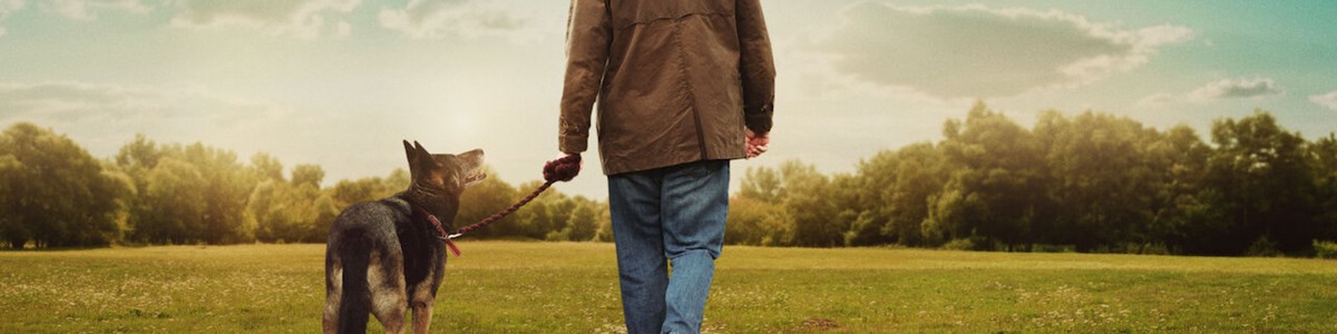 Neflix Afterlife